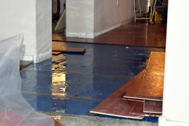 Professional Basement Flood Cleanup technician working in East Bend, NC